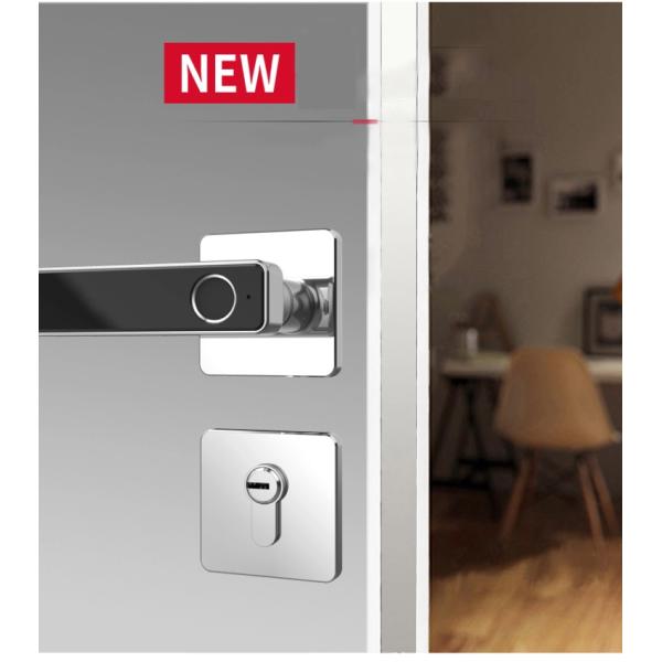 Split Type Fingerprint House Door Lock Support Biometric Fingerprint Key Unlock