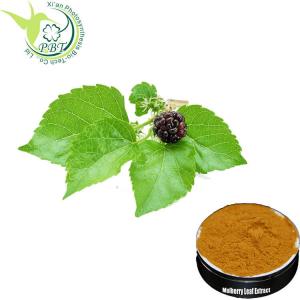 Quality White Mulberry Leaf Superfood Powder DNJ1% Deoxynojirimycin Herb Extract Brown Powder for sale