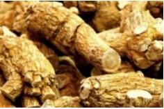China American Ginseng Extract on sale