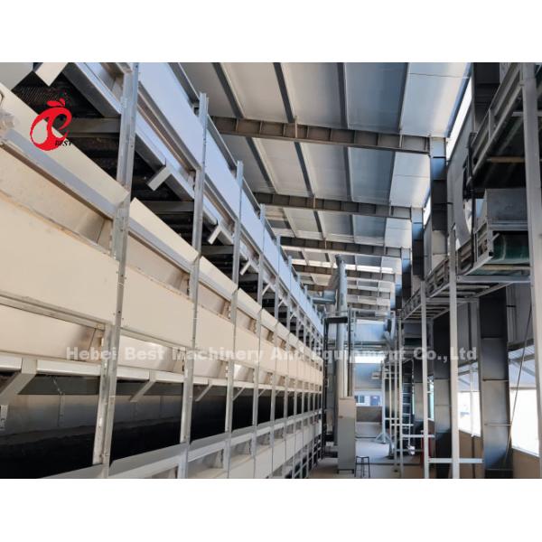 Battery Layer Chicken Cages Automatic Egg A / H Type Rose