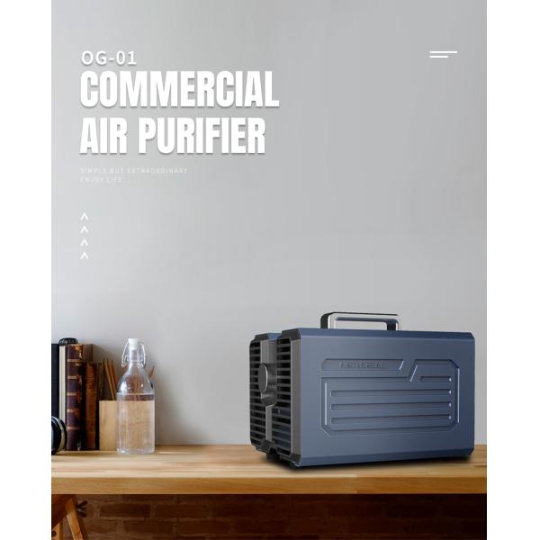 Fast Purification Ozone Generator Air Purifier Professinal 227x172x176 Mm