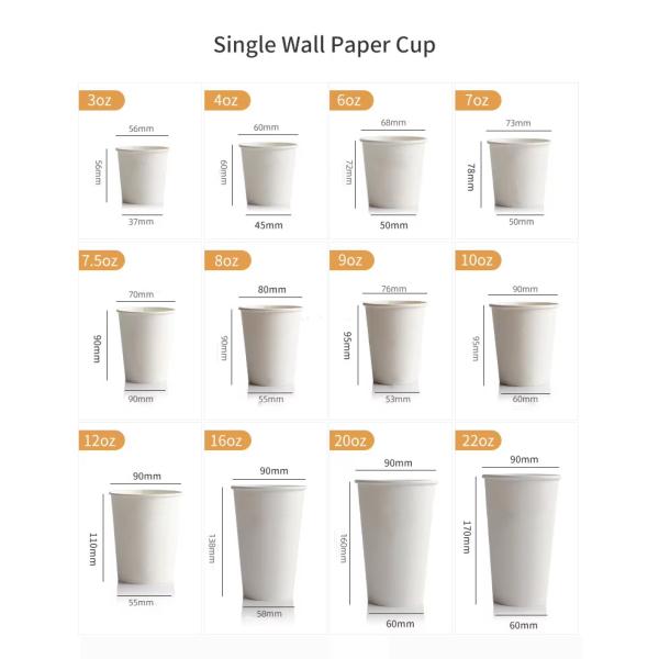 Wholesale Disposable Single Wall Paper Cup (2.5oz-24oz) Sizes with Custom Logo