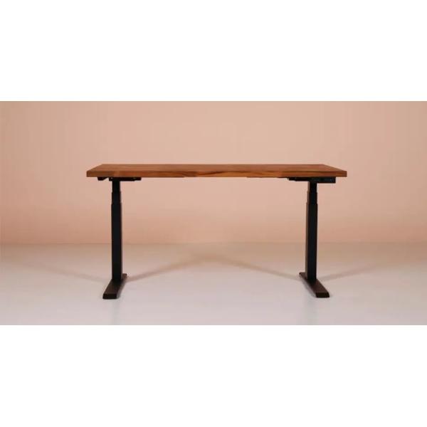 12V DC Motor Hall Feedback Linear Actuators Remote Control 2 Channels Controller