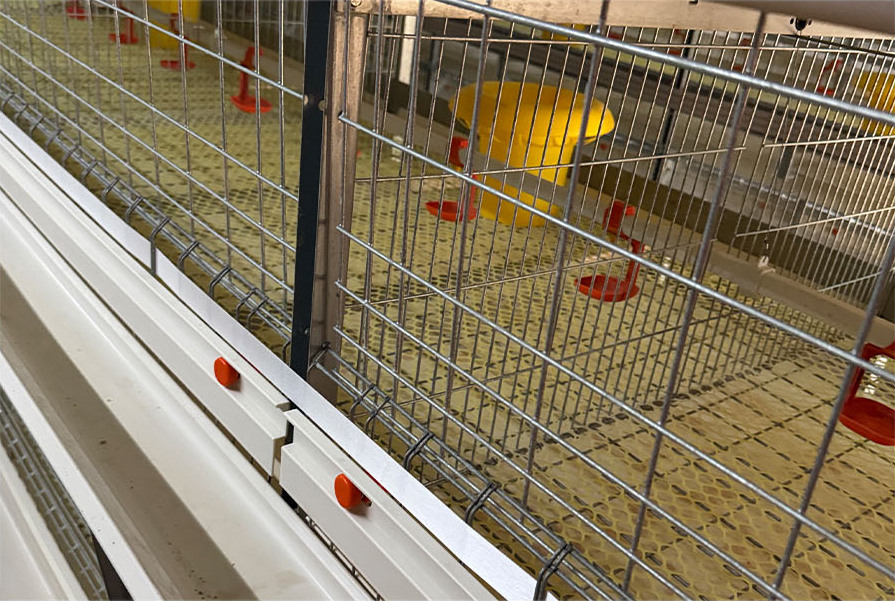 Galvanized H Type Broiler Chicken Cage Durable Battery Cage System for Poultry Farm