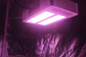 Quality 3W Osram Leds Full Spectrum grow lights  bulb 210Watt, led plant light for sale