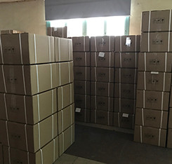 Professional Trinocular Upright Fluorescence Microscope 100W Mercury Lamp