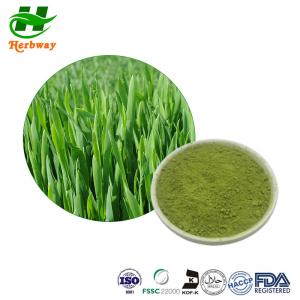 Quality Barley Grass Powder Barley Seedling Powder Barley Grass Juice Powder Hordeum Vulgare Linn for sale