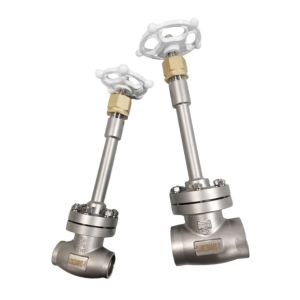 Quality PN40 Socket Weld Globe Valve SS304 SS316 Cryogenic Globe Valve for sale