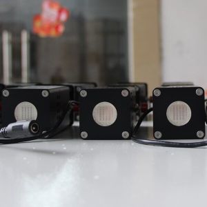 Quality LED Purple UV Light Torch , 405nm UV Flashlight 15mm Emitting Distance for sale