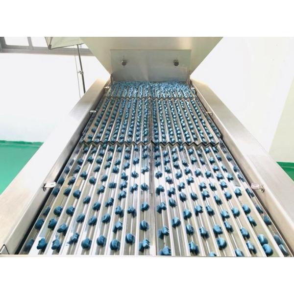 Capacity Counting And Filling Machine with Capacity 10-120 Bottle/minute Machine Weight kg 320