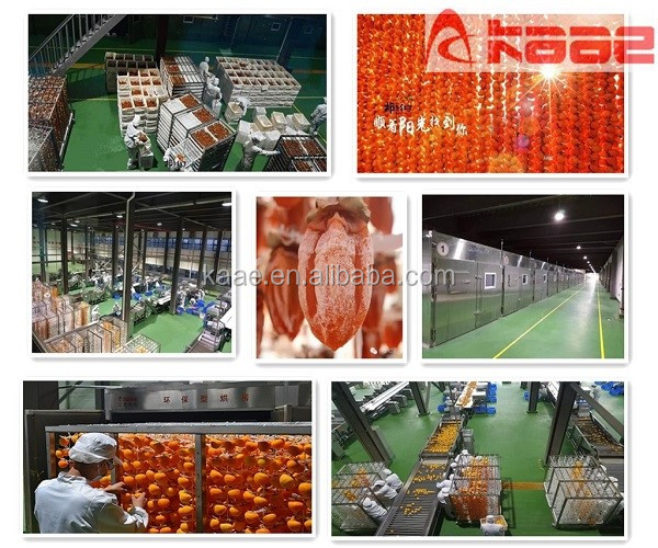 Stainless Steel Dried Persimmon Processing Line Persimmon Drying Machine