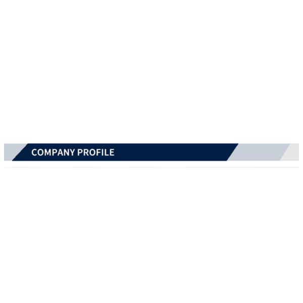 Customizable Black Rubber Level Crossing Panel P50 P60 for Rail Construction