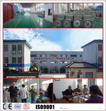 Small Brushless Electric Alternator