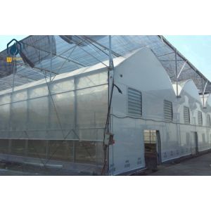 Quality Modern Multispan Greenhouse Flower Growing With Automatic Control System for sale