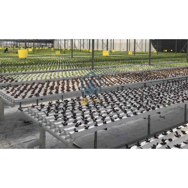 NFT Hydroponic Pipe And Pipeline System For Efficient Vegetable Cultivation
