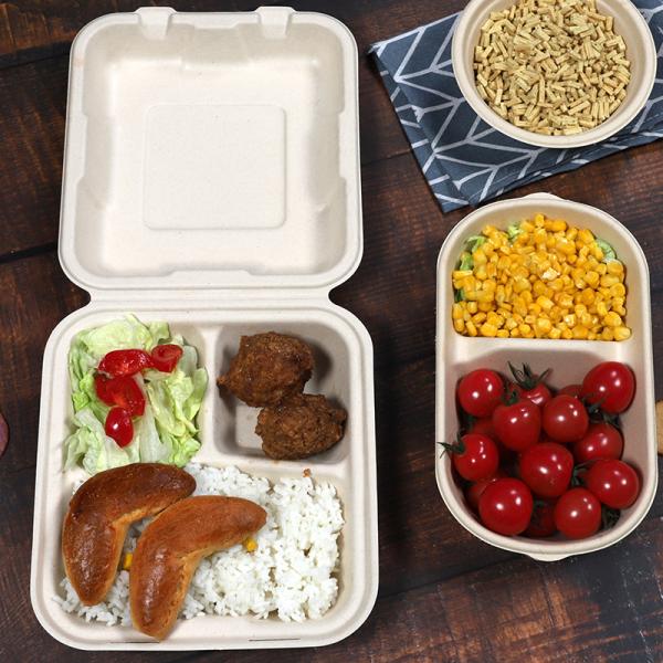 3 Compartment Sugarcane Bagasse Lunch Box Clamshell Containers For Camping Picnic