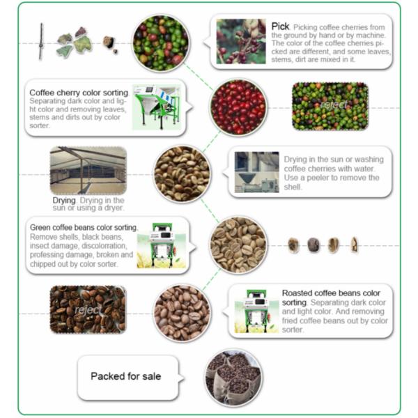 Optical Bean sorting machines CCD Six Chutes Bean Color Sorter