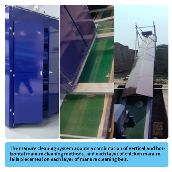 Fully Automatic H-Type duck Cage with Steel Construction in New Condition for Poultry Farming