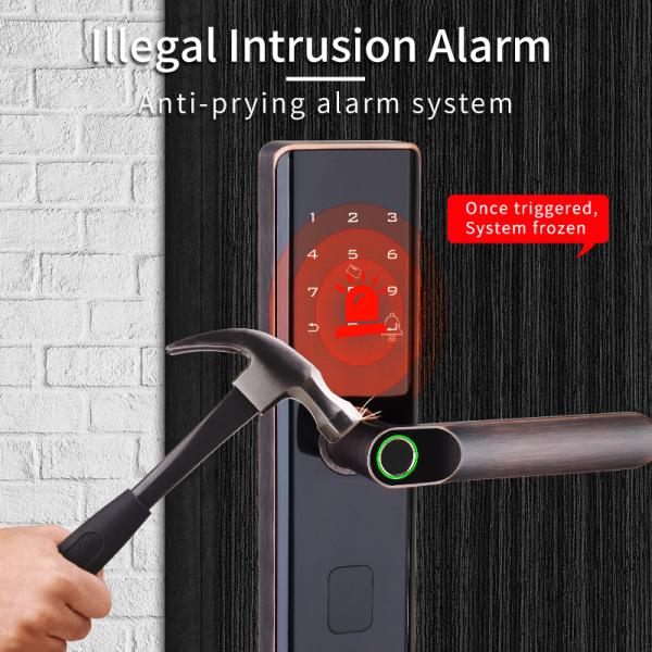 Euro Intelligent Door Lock Tuya Biometric Fingerprint Lock Black