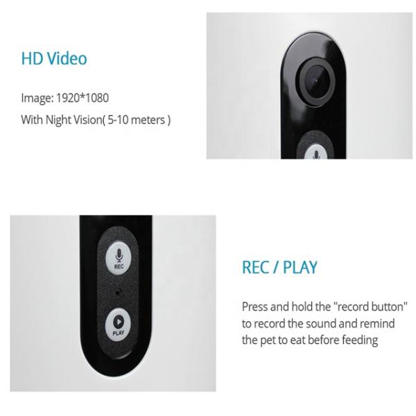 240V 4L Tuya Smart Pet Feeder Automatic Cat Feeder With Camera