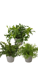 artificial plants &amp;amp;amp;amp;amp;amp;amp;amp; flowers