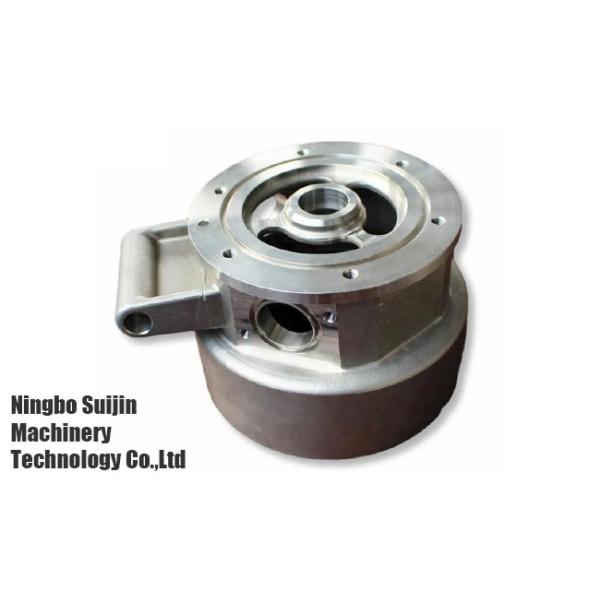 Check Valve Body Lost Wax Precision Casting Part Customized 0.05 - 0.9KG