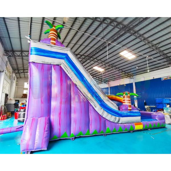 Carnival Adult Bounce House Outdoor Inflatable Water Slides