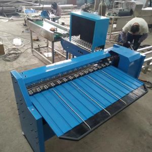 Chicken Egg Sorting Machine Egg Size Sorting Machine Basic Egg Sorting Machine