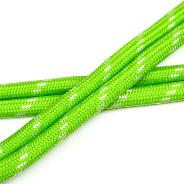 Tent Reflective Braided Rope Leash Dog Lead Colorful Round Draw Cords Hoodie String Rope 10mm