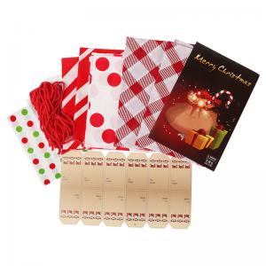 China Heavy Duty Set Flat PE Christmas Plastic Bags With String Ties on sale
