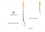 Heat Activation Dental Golden Pro-Taper Files High Flexibility For Curved Canals