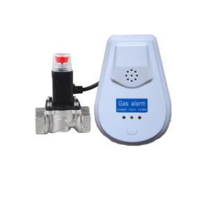 Quality 110V 220V AC Carbon Monoxide Detector Smoke Detector Combined Easy Installation for sale