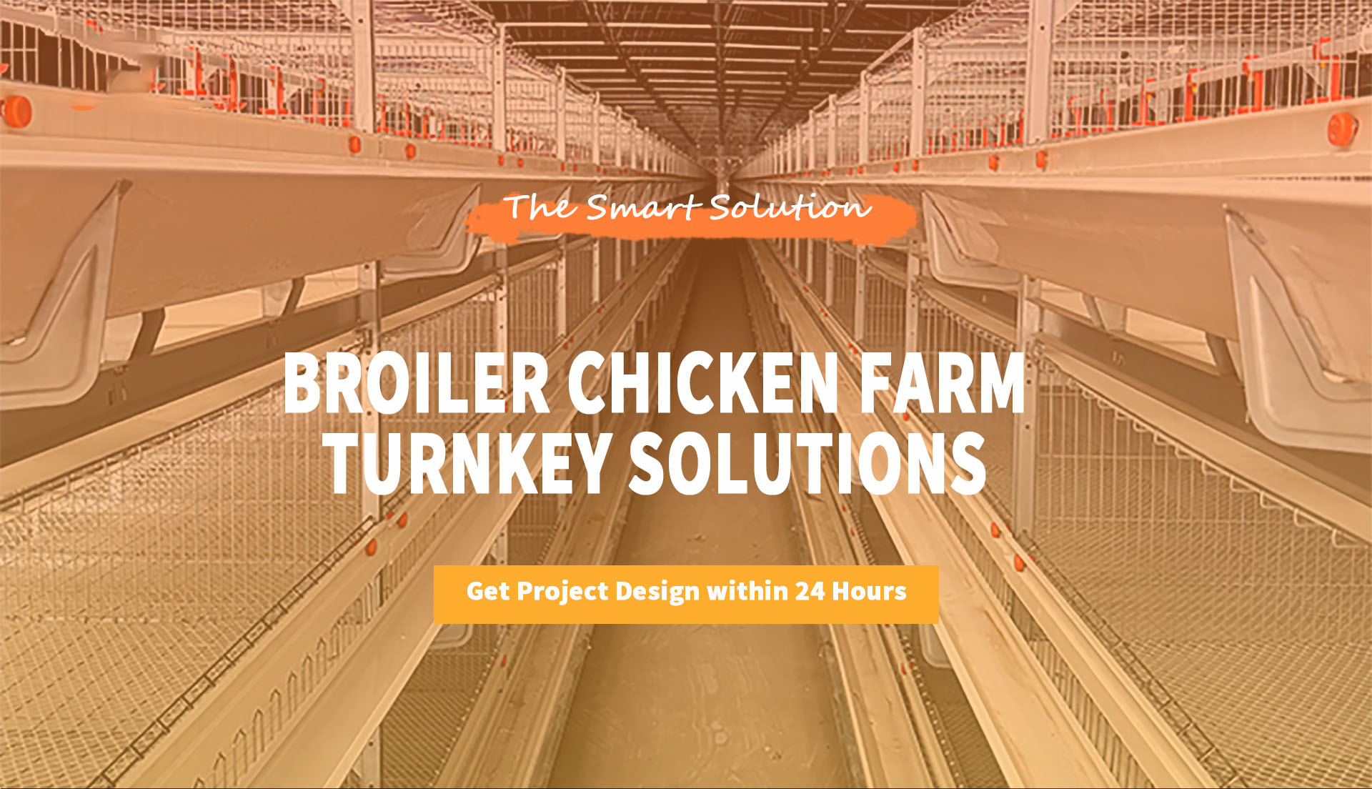 Galvanized H Type Broiler Chicken Cage Durable Battery Cage System for Poultry Farm