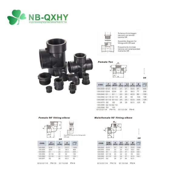 Black PP Threaded Pipe Fittings Bsp Standard Pipe Fittings