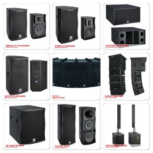 Quality Professional 12 Inch 15 Inch 18 Inch Speaker Box Conference Speaker System for sale