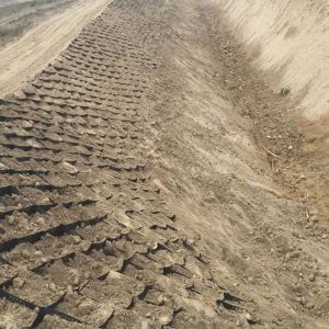 Quality 50mm-300mm Height Ground Stabilization Grid Corrosion Resistant for sale