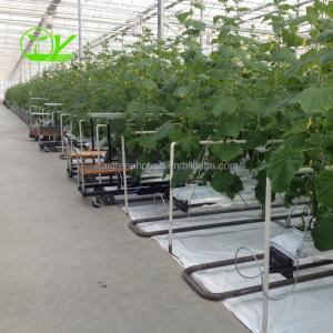 China Hydroponic Farming Agriculture Greenhouse with 8m Wide Span and Transparent Design on sale