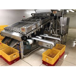 Smart 304 stainless steel reliable shrimp sorting machine suitable for seafood