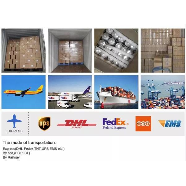 Polyurethane (PU) Adhesive Sealant Glue for Automotive Glass Bonding and Sealing