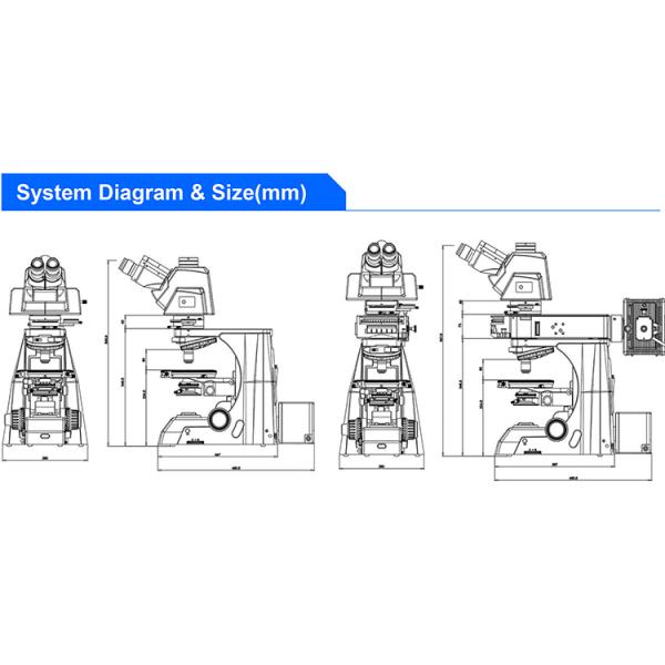 OPTO-EDU A15.1091-T plm polarized light microscopy Manual Transmit 12V 100W Halogen Semi APO ECO
