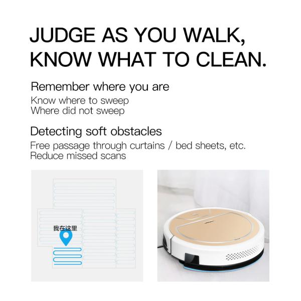 Customized Cleaning And Mopping Robot With Remote Control And APP Control