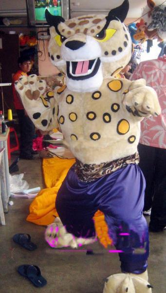 Buy Party costumes,India Tigger,costumes for party,animal mascot, fancy dress costumes at wholesale prices