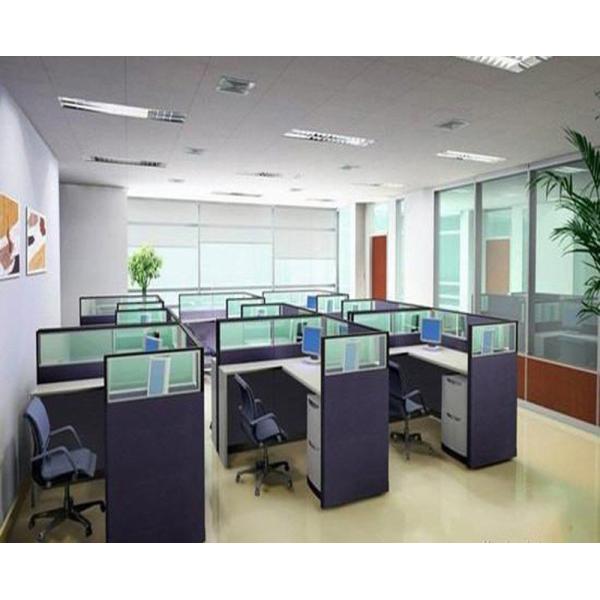 Glass 12pcs Onion Meiosis Prepared Botany Slides For School Research