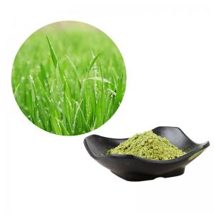 Quality Organic Barley Grass Powder For Healthy Food Beverage for sale