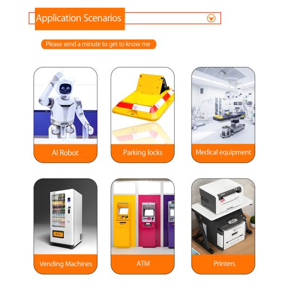 Faradyi Customizable Worm Gear Motor 12V 24V 300rpm High Torque Long Lifespan DC Motor With Encoder