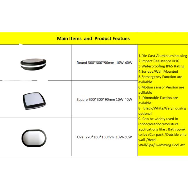 Dimmable Outdoor Surface Mounted LED Ceiling Light IK10 CRI 75 SP - MLCG270 - 10