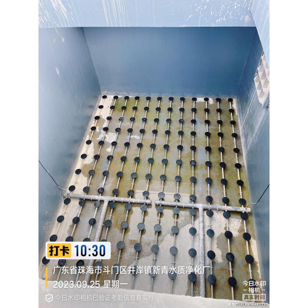 Maximize Efficiency with Disc Diffuser Aeration System and Intelligent Upgrade Options