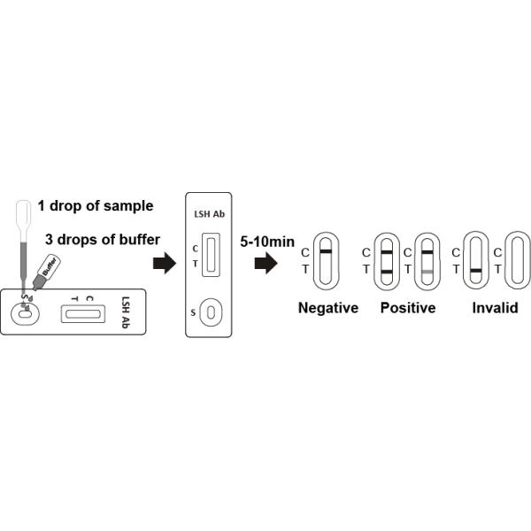 LSH Ab Dog Test Kits , Canine Leishmania Antibody Test