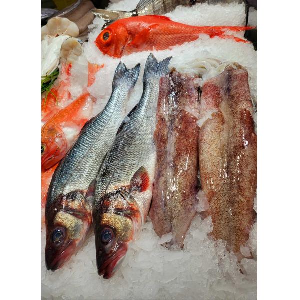 Direct Refrigeration System 10t Ice Block Machine with R404a Refrigerant and Bearing