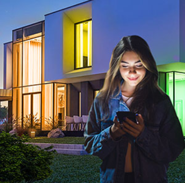 Remote Contol Dreamcolor LED Strip Lights Smd 2835 Ws2812 2811